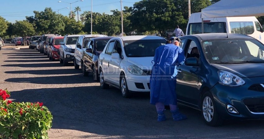 Personas con síntomas deben aplicarse prueba covid; SSA tiene abasto para todo BCS: Flores Aldape