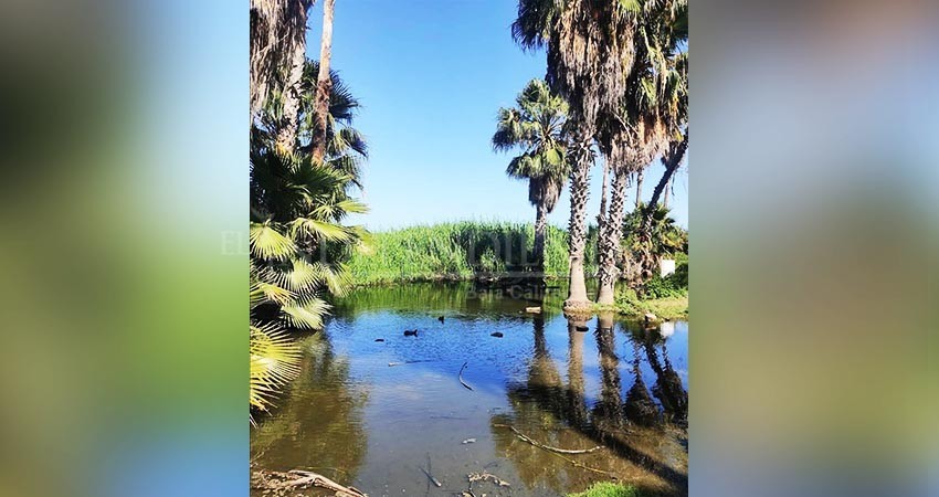 Medir afectaciones del Estero de SJC costará alrededor de 15 mdp