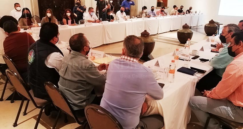 Al menos 14% de las acciones comprometidas en el PDM beneficiarán a empresarios