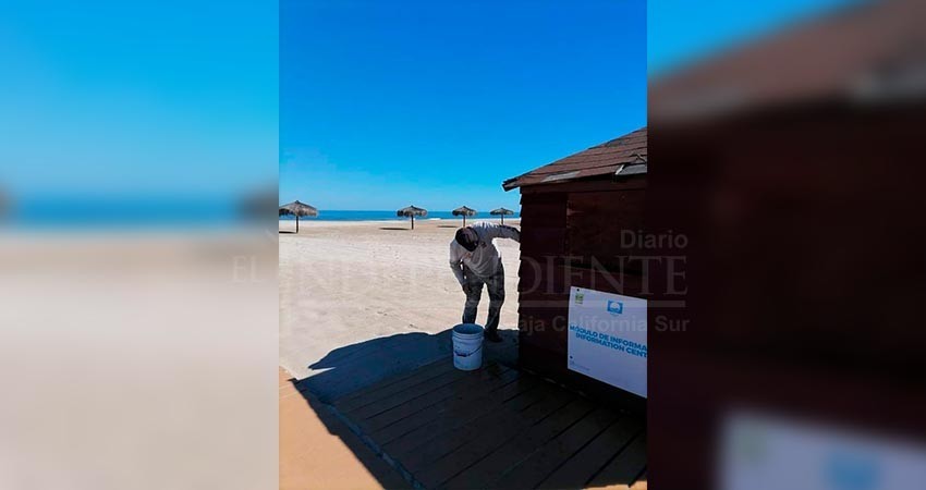 Mantiene Zofemat Los Cabos en óptimas condiciones las playas de la zona norte del municipio