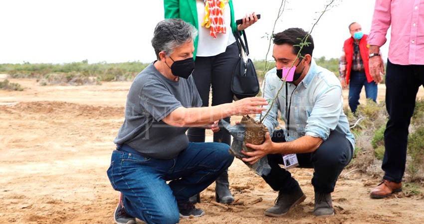 inician reforestación en el manglar de El Conchalito