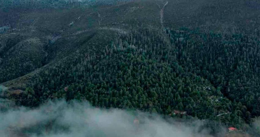 ¡Se congela el norte de México! hasta -15 grados en sierras de Chihuahua, Coahuila y Durango