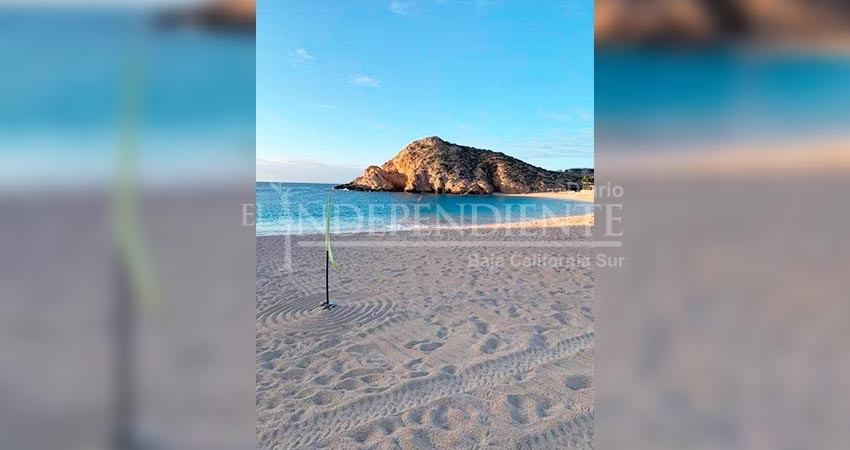 Ante fuerte oleaje, exhorta Zofemat Los Cabos a respetar la señalización de banderas en playas