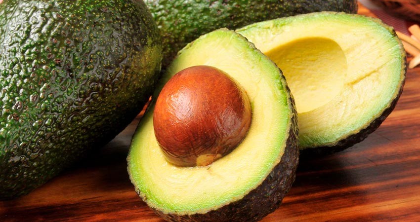 Estados Unidos frenará importación de aguacate, el tiempo necesario