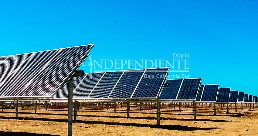 Las energías limpias son el futuro de BCS: Maribel Collins