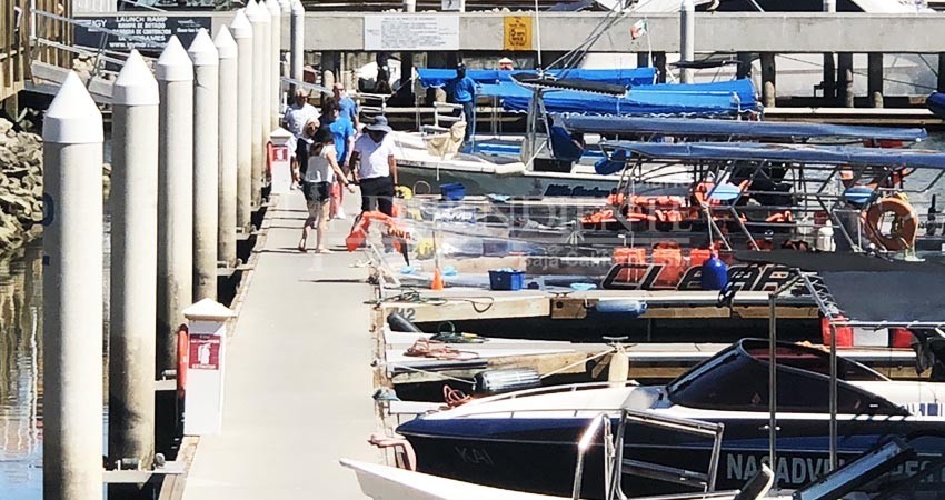 Piden anticipo y se desaparecen; así trabajan coyotes de la Marina en CSL