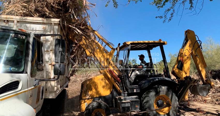 Más de 35 toneladas de ramas y hojas secas se han retirado de la Reserva Ecológica Estatal Estero de SJC
