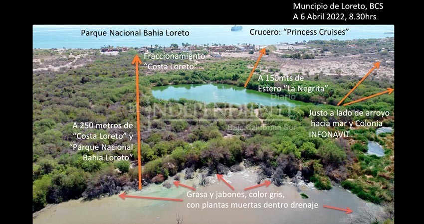 Pese a denuncias, continúa el derrame de aguas negras de Loreto en predio particular; ahora vienen de la planta de tratamiento