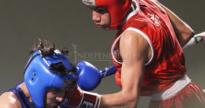 Arranca el regional de boxeo en BCS