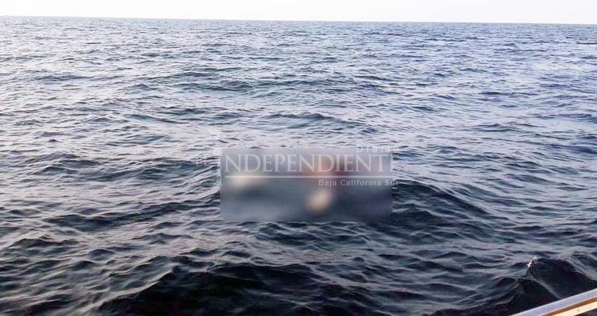 Localizan cuerpo sin vida frente isla Espíritu Santo