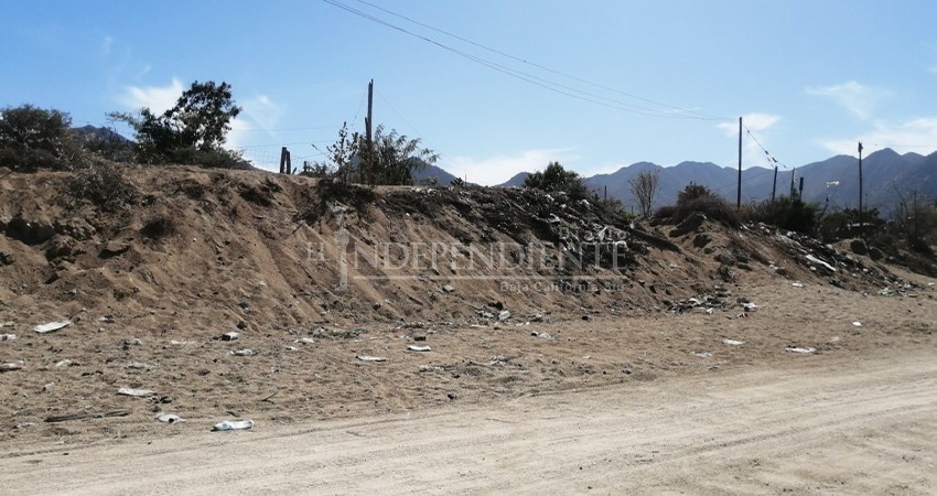Arroyos en Los Cabos infestados de basura; la ciudadanía es la culpable: Dirección de Ecología