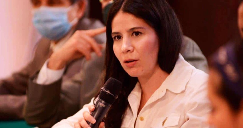 Expulsa PVEM a diputada por votar contra la reforma eléctrica de AMLO