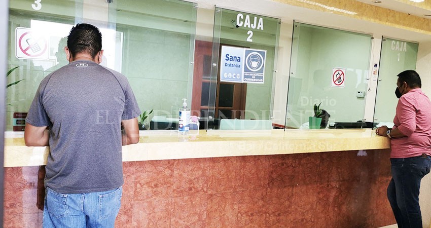 Ayuntamiento Los Cabos invita a contribuyentes a aprovechar prórroga en el pago de refrendos de licencias sin multa     9