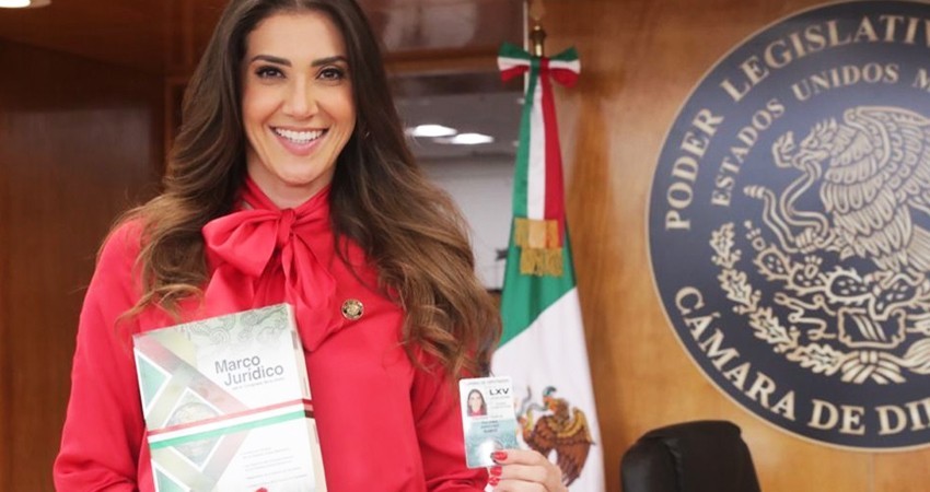 Se retracta legisladora del PRI tras presumir que es 'pluri' y no ocupa buscar el voto