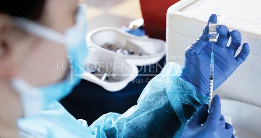 No está autorizada una cuarta dosis de vacuna contra Covid-19: SSA