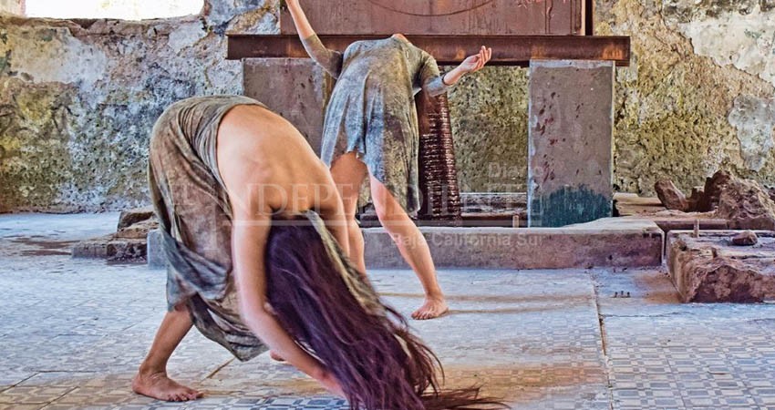 Hermanan arte y ciencia para el segundo Festival del Manglar