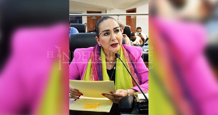 Propone diputada Eda Palacios que incendios forestales se investiguen de oficio por la PGJE