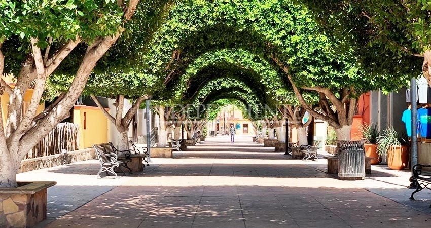 Vive Loreto recuperación económica gracias al turismo