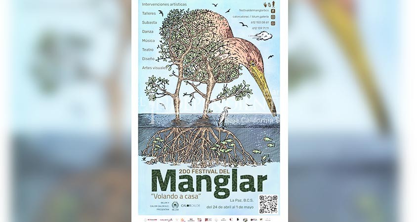 Invitan al 2do. Festival del Manglar en La Paz