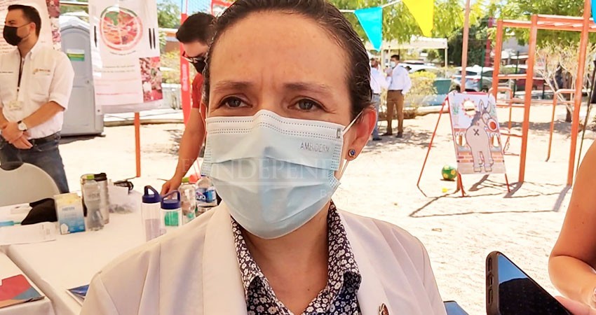 Consejo de Seguridad en Salud sesionará 2 veces por semana