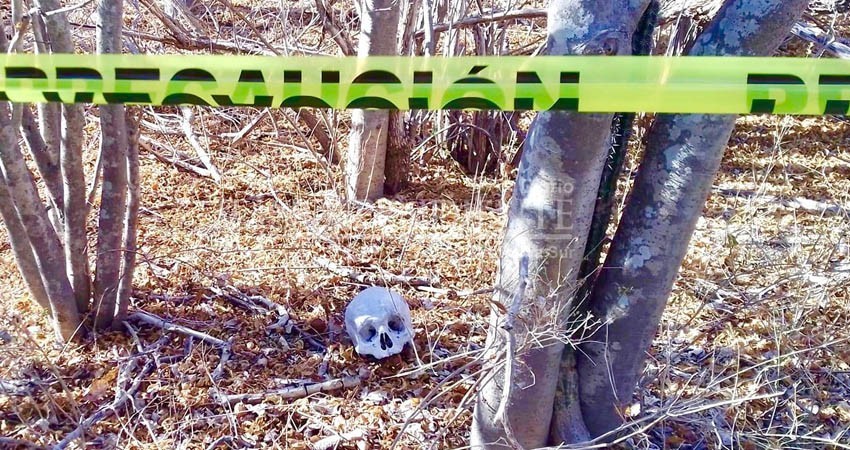 Ubican restos óseos en las inmediaciones de Calafia en La Paz