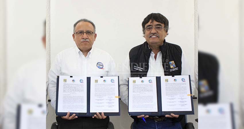 Rector de la UABCS y alcalde de Los Cabos firman convenio de colaboración