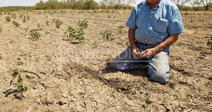 CONAGUA pronostica un largo periodo de estiaje para BCS