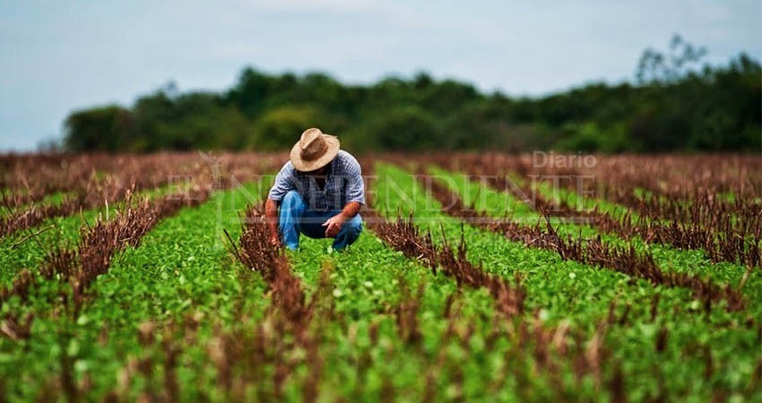 Después de 15 años, realizará INEGI censo agropecuario