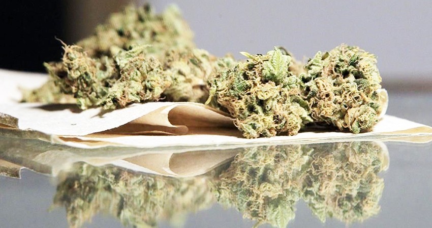 SJCN avala portación  de 5 gramos de mariguana para consumo personal