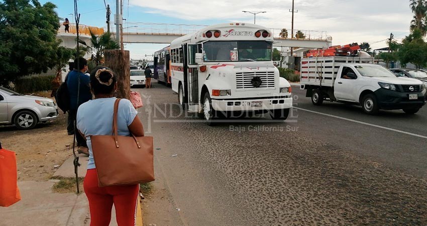 Contemplan ampliaciones en rutas de transporte público de Los Cabos