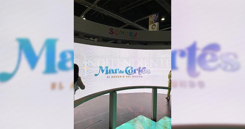 Más de mil 500 citas de negocios tendrá BCS durante Tianguis Turístico: Maribel Collins