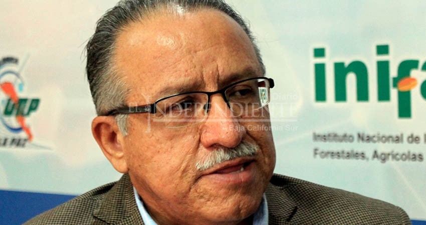 Con dos carreras a distancia, UABCS aumentará su oferta educativa