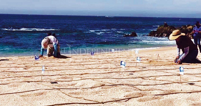 Realizan auditorias Blue Flag en playas de Los Cabos