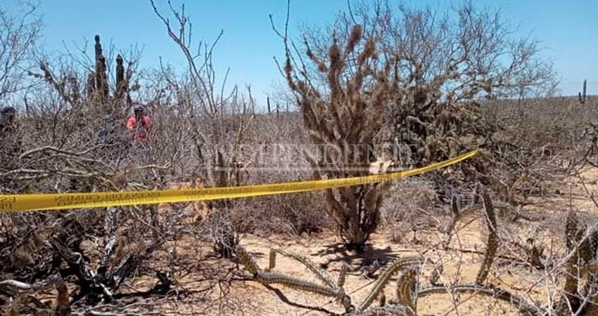 Localizan más restos humanos en colonia Calafia  de La Paz