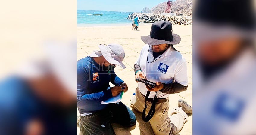 Los Cabos consolida su liderazgo en certificaciones Blue Flag en México y el mundo