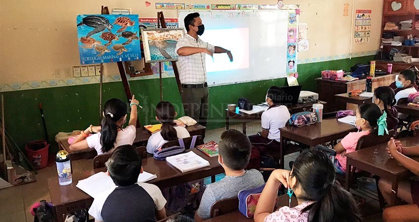 Estudiantes de Los Cabos participan en acciones para la conservación de la tortuga marina
