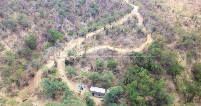 “Inmobiliaria fraudulenta busca despojarnos de todo lo que tenemos”; piden ayuda al gobernador