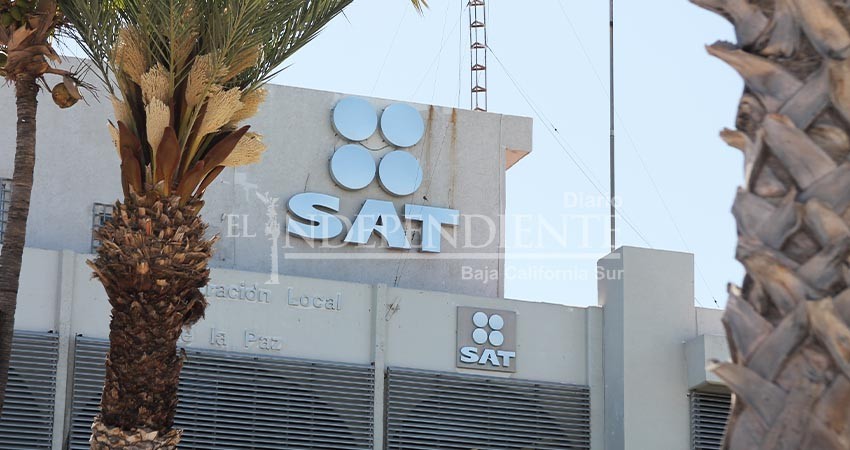 Urgente que se reactiven módulos del SAT en toda la entidad: Sonia Murillo