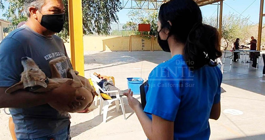 Son atendidas 47 mascotas en Campaña de Esterilización en Pueblo Nuevo de La Paz