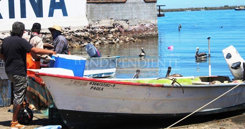 Renovarán padrón para programa seguro de vida a pescadores en BCS