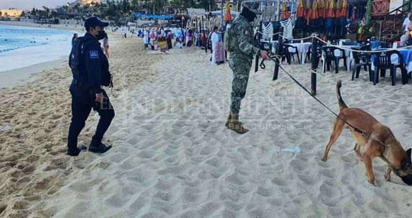 Coordinan esfuerzos Ayto Los Cabos y CCE para ampliar la seguridad en playa El Médano