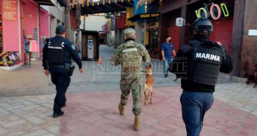 Coordinan esfuerzos Ayto Los Cabos y CCE para ampliar la seguridad en playa El Médano