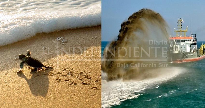 Reúne Oddysey 15 mdd para juicio contra México por cancelar minería submarina en BCS