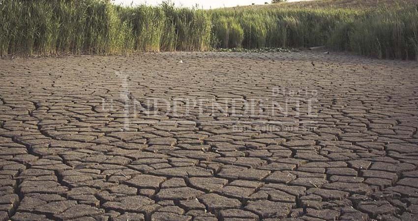 Evalúan estrategias para evitar afectaciones a familias, por estrés hídrico