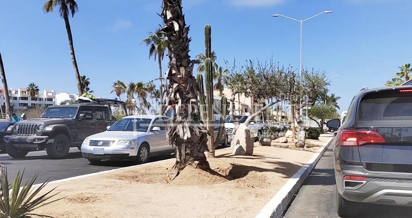 Plan municipal de movilidad se proyecta para diez años, irá armonizado con nueva ley