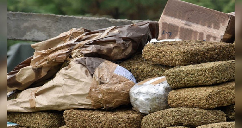 Más de 313 mil dosis de droga fueron decomisadas por la PGJE