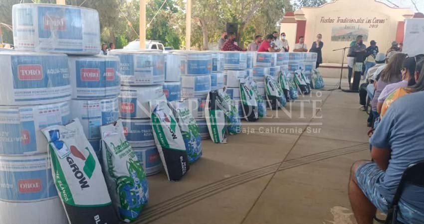 Ayto Los Cabos invirtió 6mdp en ganaderos y agricultores a través del programa de Entrega de Semilla