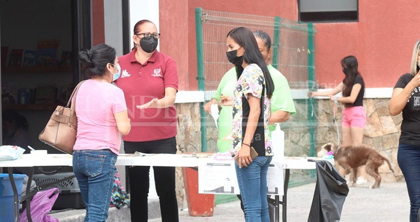 Atendidas 59 mascotas en la Campaña de Esterilización del CEMAC en Perla del Golfo
