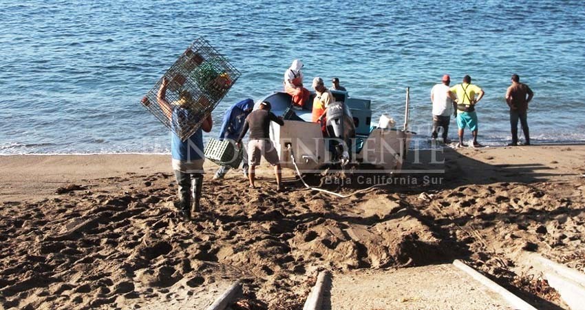 649 cooperativas pesqueras impulsan economía en BCS