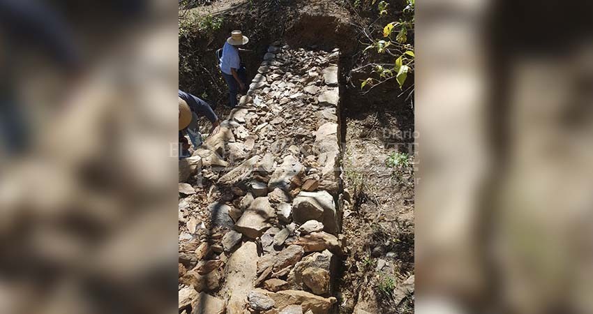 Gobierno de BCS contribuye a la conservación de suelos